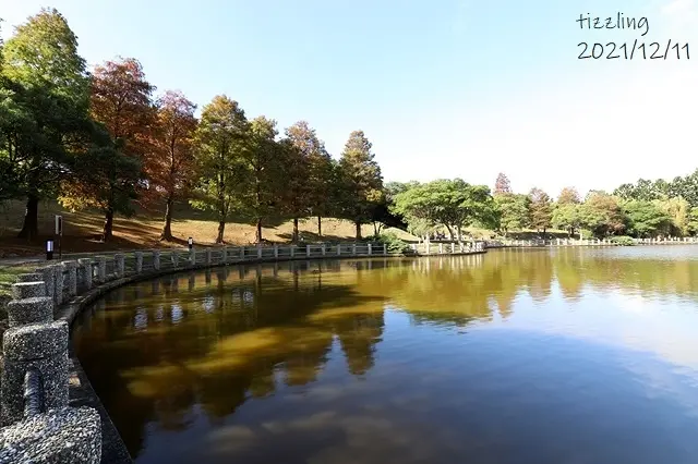 長庚養生文化村/美食窩客 楊子陵 提供，未經許可不得轉載。