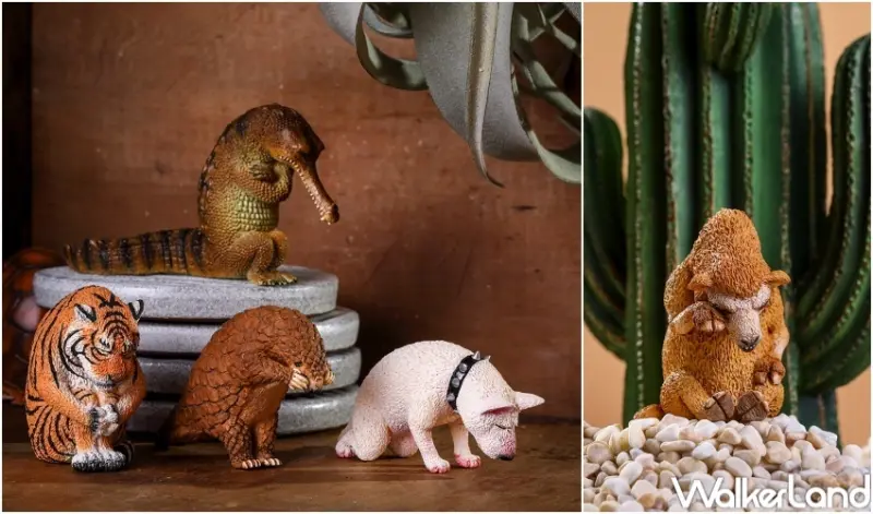 朝隈俊男「不哭不哭眼淚是珍珠」 / WalkerLand窩客島整理提供 未經許可，不得轉載