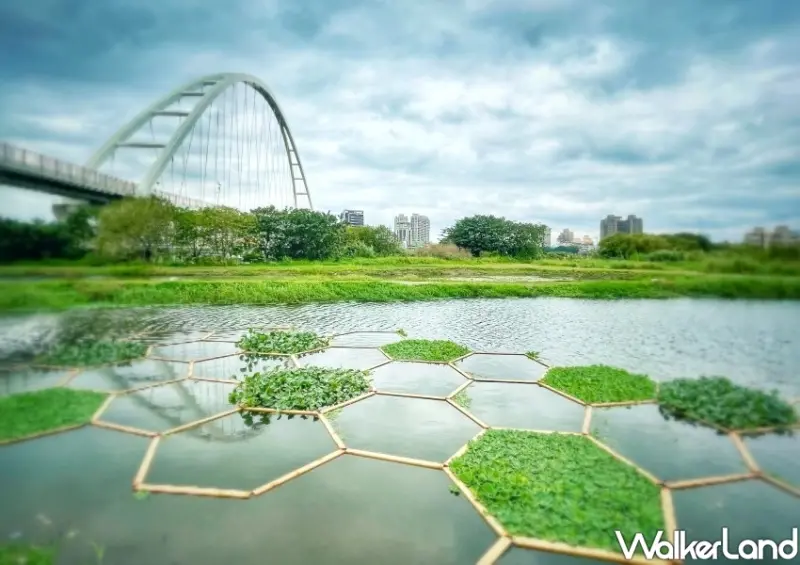 新北濕地藝術季 / WalkerLand窩客島整理提供 未經許可不可轉載