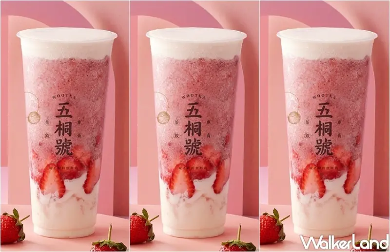 五桐號冬季新品 / WalkerLand窩客島整理提供 未經許可，不得轉載