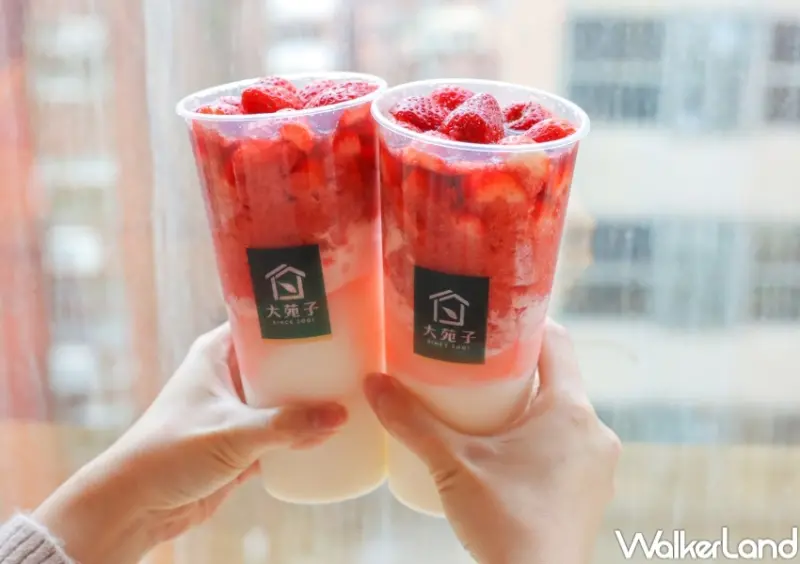 大苑子 莓好相遇 / WalkerLand窩客島提供 未經許可，不得轉載