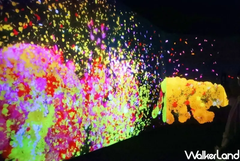 2022寒假展覽、快閃店攻略 / WalkerLand窩客島整理提供 未經許可，不得轉載