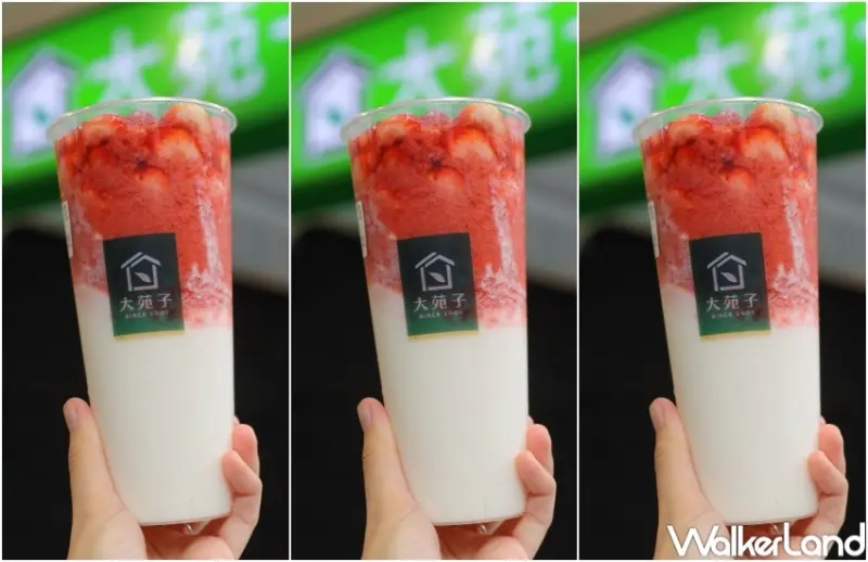 大苑子 莓好相遇 / WalkerLand窩客島提供 未經許可，不得轉載