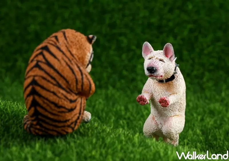 朝隈俊男「不哭不哭眼淚是珍珠」 / WalkerLand窩客島整理提供 未經許可，不得轉載