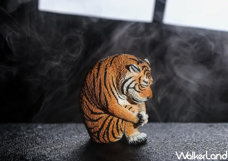 朝隈俊男「不哭不哭眼淚是珍珠」 / WalkerLand窩客島整理提供 未經許可，不得轉載