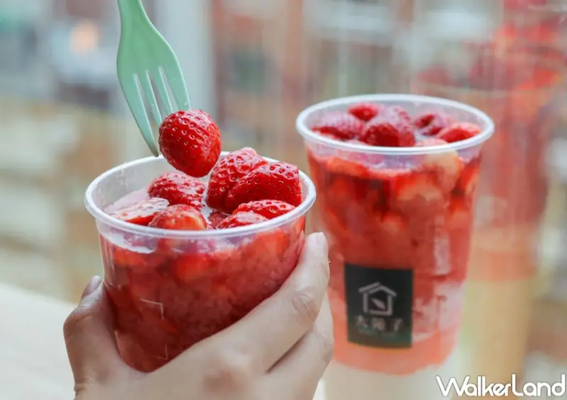 大苑子 莓好相遇 / WalkerLand窩客島提供 未經許可，不得轉載