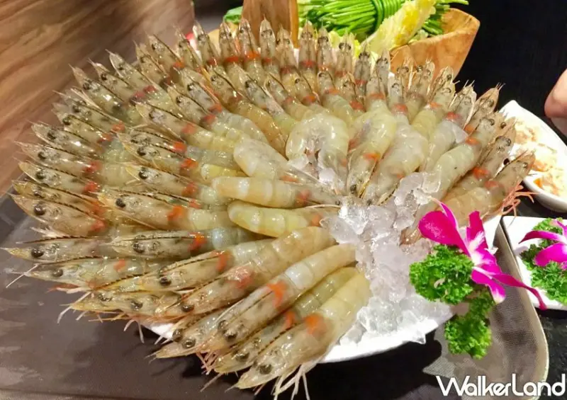 泰滾 一月壽星優惠/ WalkerLand窩客島整理提供 未經許可不可轉載