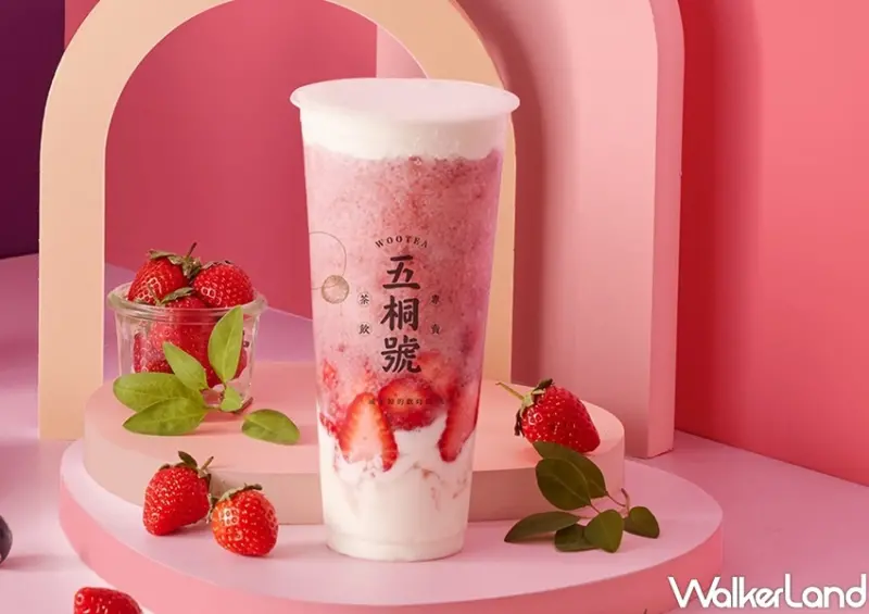 五桐號冬季新品 / WalkerLand窩客島整理提供 未經許可，不得轉載