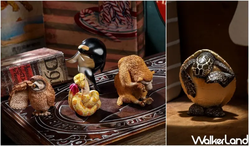 朝隈俊男「不哭不哭眼淚是珍珠」 / WalkerLand窩客島整理提供 未經許可，不得轉載