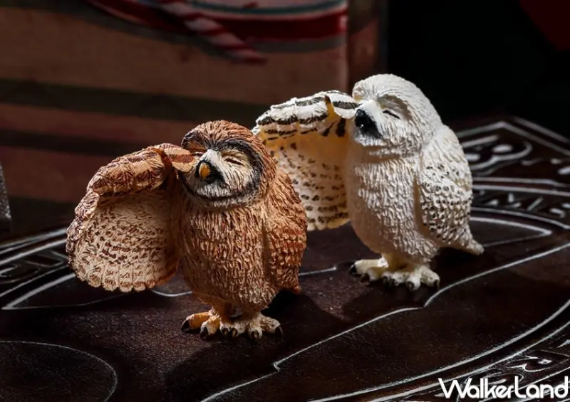 朝隈俊男「不哭不哭眼淚是珍珠」 / WalkerLand窩客島整理提供 未經許可，不得轉載