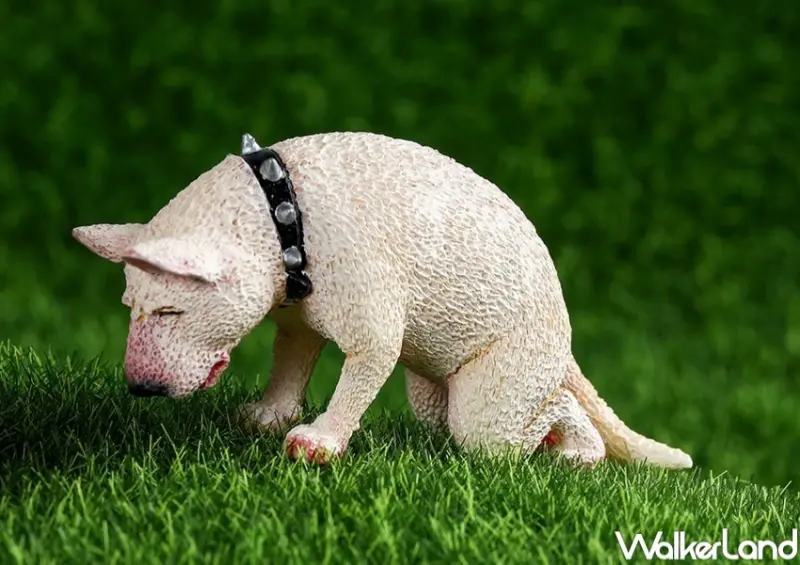 朝隈俊男「不哭不哭眼淚是珍珠」 / WalkerLand窩客島整理提供 未經許可，不得轉載