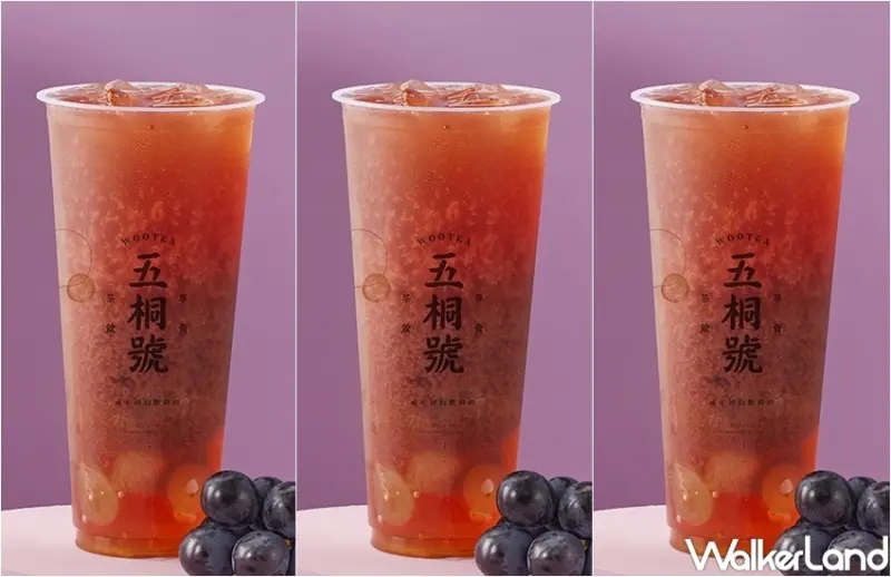 五桐號冬季新品 / WalkerLand窩客島整理提供 未經許可，不得轉載