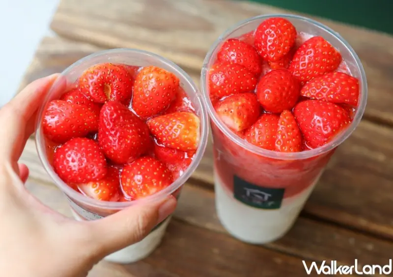 大苑子 莓好相遇 / WalkerLand窩客島提供 未經許可，不得轉載