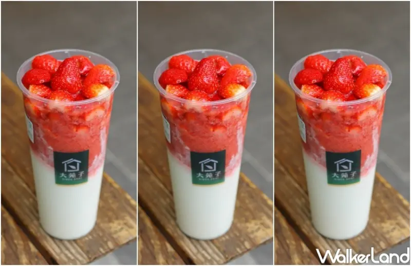 大苑子 莓好相遇 / WalkerLand窩客島提供 未經許可，不得轉載