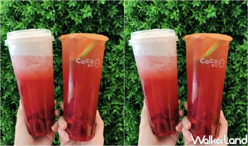 CoCo 2/9 週三好友日 / WalkerLand窩客島整理提供 未經許可，不得轉載