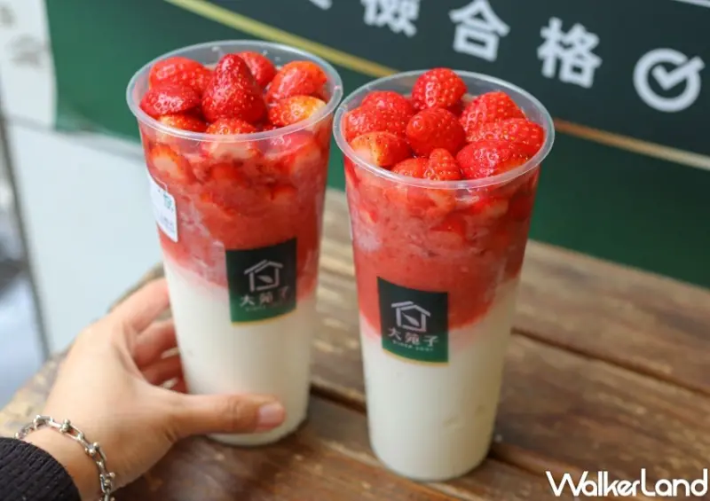 大苑子 草莓季飲品 / WalkerLand窩客島整理提供 未經許可，不得轉載