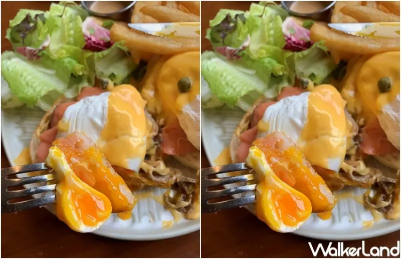 貳樓 2/22品牌日優惠 / WalkerLand窩客島整理提供 未經許可，不得轉載