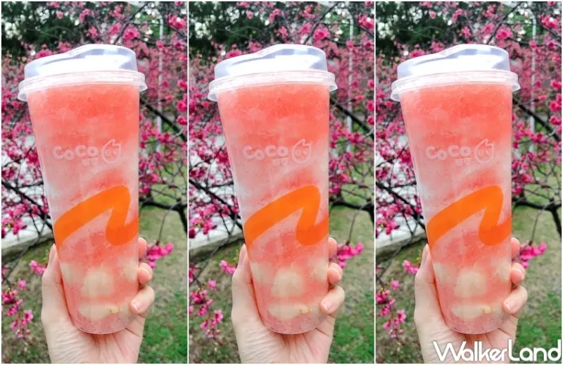 CoCo新品 / WalkerLand窩客島整理提供 未經許可，不得轉載