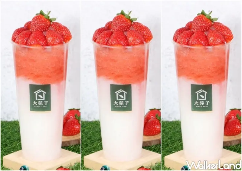 大苑子 228連假優惠 / WalkerLand窩客島整理提供 未經許可，不得轉載