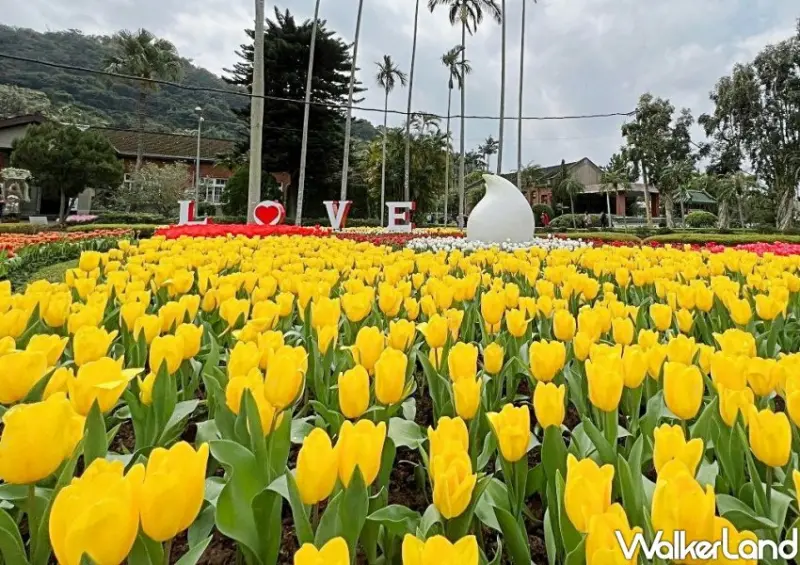 2022士林官邸鬱金香展 / WalkerLand窩客島整理提供 未經許可不可轉載