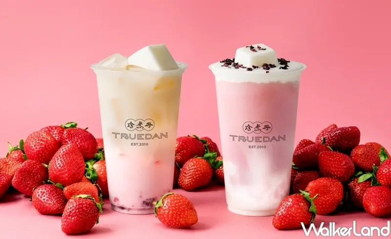 珍煮丹草莓季 / WalkerLand窩客島整理提供 未經許可，不得轉載