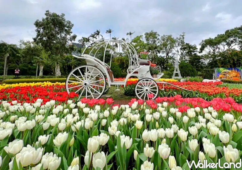 2022士林官邸鬱金香展 / WalkerLand窩客島整理提供 未經許可不可轉載