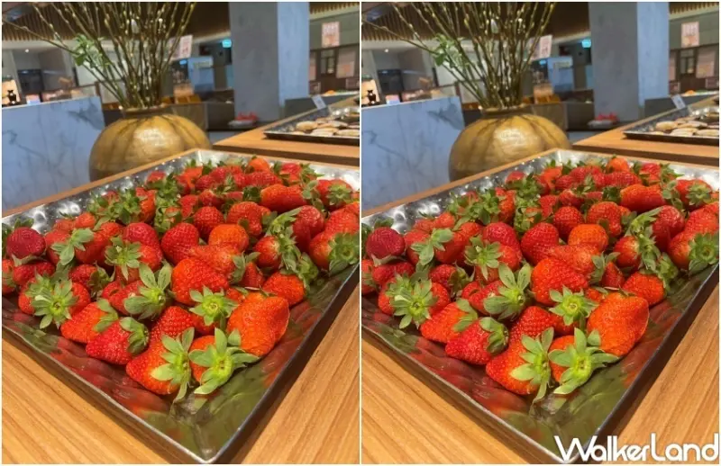 千葉火鍋 草莓季活動 / WalkerLand窩客島整理提供 未經許可，不得轉載