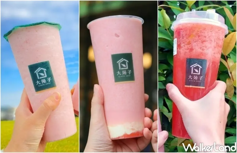 大苑子 228連假優惠 / WalkerLand窩客島整理提供 未經許可，不得轉載