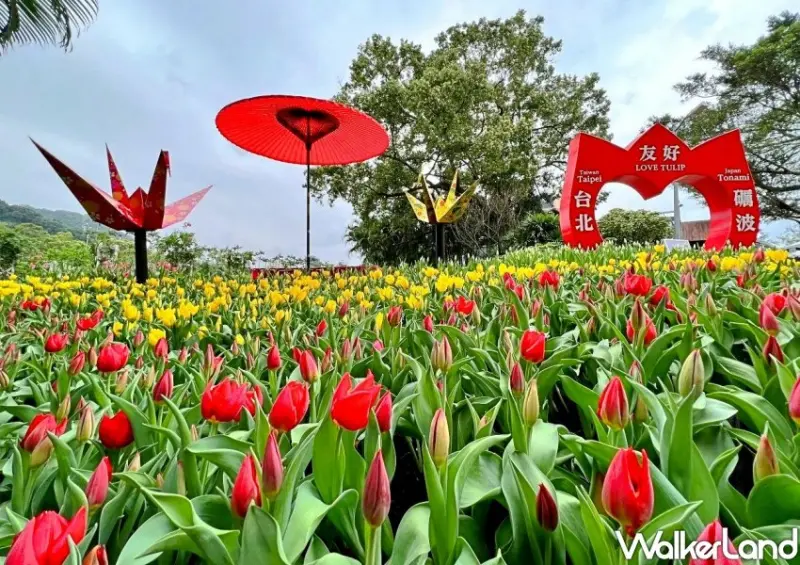 2022士林官邸鬱金香展 / WalkerLand窩客島整理提供 未經許可不可轉載