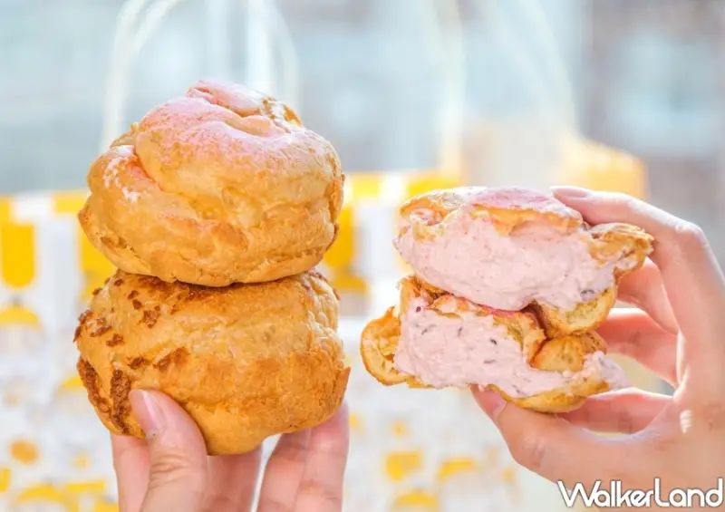 Beard papa's蔓越莓泡芙 / WalkerLand窩客島整理提供 未經許可不可轉載