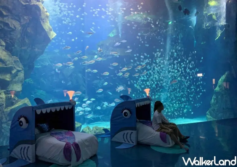 和逸飯店．桃園館 宿海奇遇Blu Night專案 / WalkerLand窩客島提供 未經許可，不得轉載