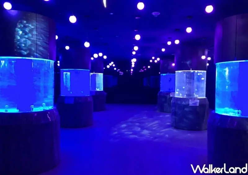 基隆海科館「潮境智能海洋館」 / WalkerLand窩客島整理提供 未經許可不可轉載