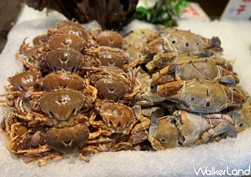 千葉火鍋竹北店螃蟹吃到飽 / WalkerLand窩客島整理提供 未經許可，不得轉載