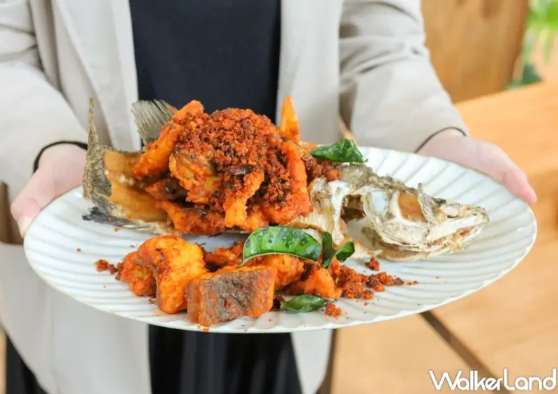 初泰PIKUL / WalkerLand窩客島提供 未經許可，不得轉載