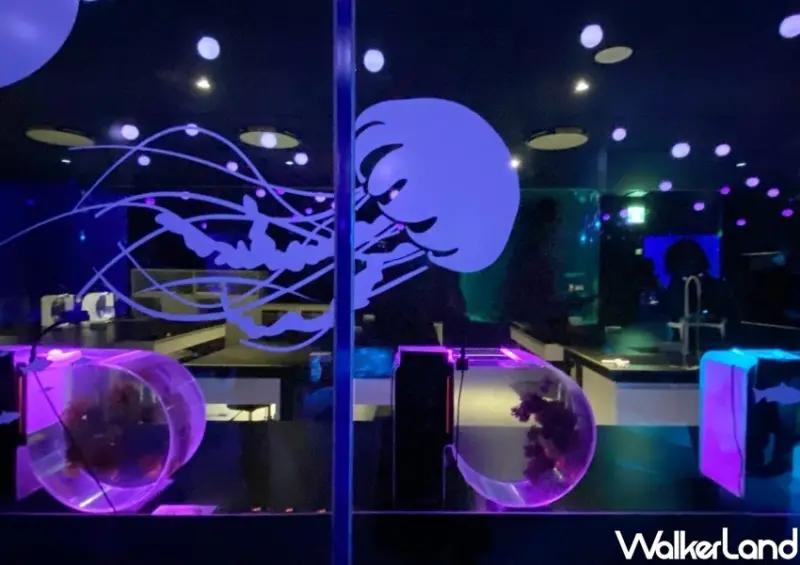 基隆海科館「潮境智能海洋館」 / WalkerLand窩客島整理提供 未經許可不可轉載
