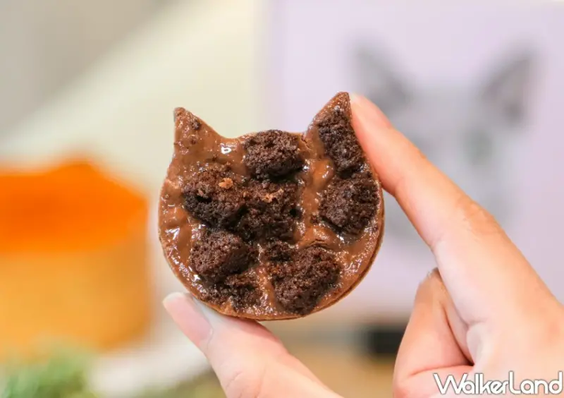 NEKO NEKO CHEESECAKE新竹快閃店 / WalkerLand窩客島整理提供 未經許可不可轉載