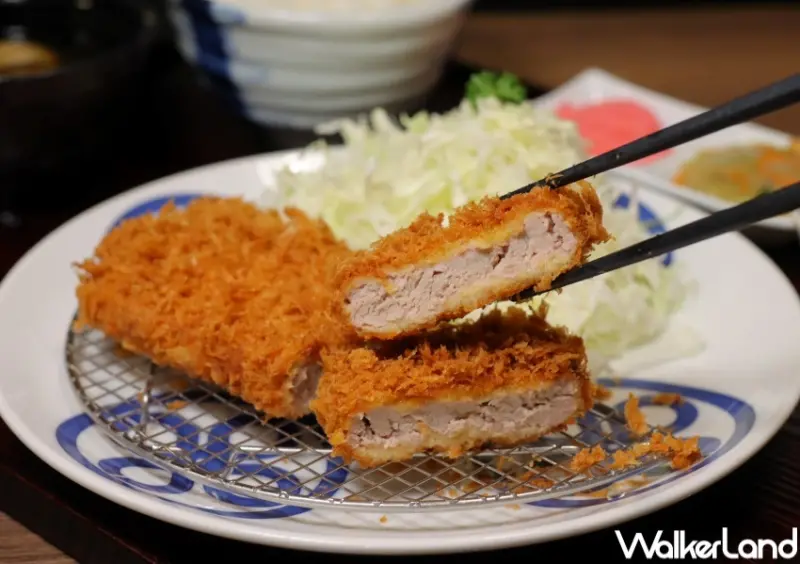 邁泉豬排 / WalkerLand窩客島提供 未經許可，不得轉載