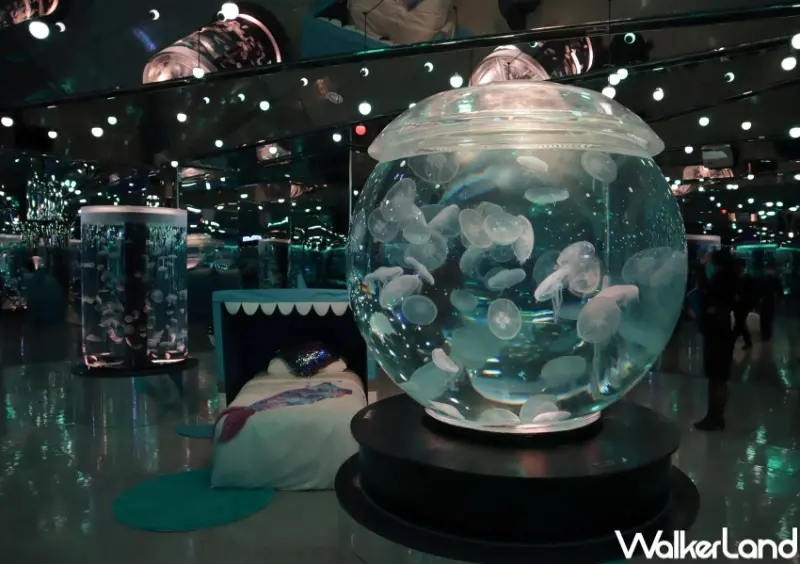 和逸飯店．桃園館 宿海奇遇Blu Night專案 / WalkerLand窩客島提供 未經許可，不得轉載