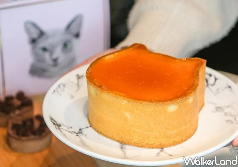 NEKO NEKO CHEESECAKE新竹快閃店 / WalkerLand窩客島整理提供 未經許可不可轉載