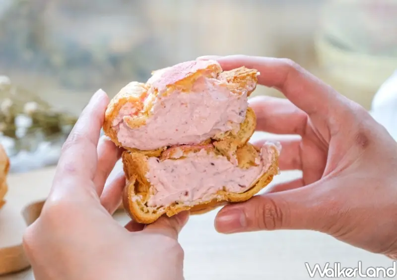 Beard papa's蔓越莓泡芙 / WalkerLand窩客島整理提供 未經許可不可轉載