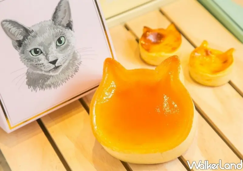 NEKO NEKO CHEESECAKE新竹快閃店 / WalkerLand窩客島整理提供 未經許可不可轉載