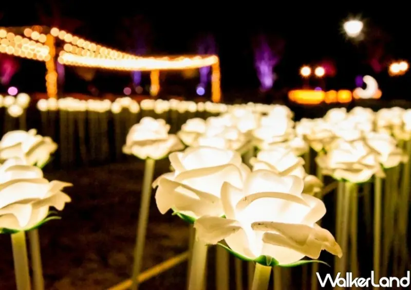 2022夜遊慈湖-水岸光影季 / WalkerLand窩客島整理提供 未經許可不可轉載