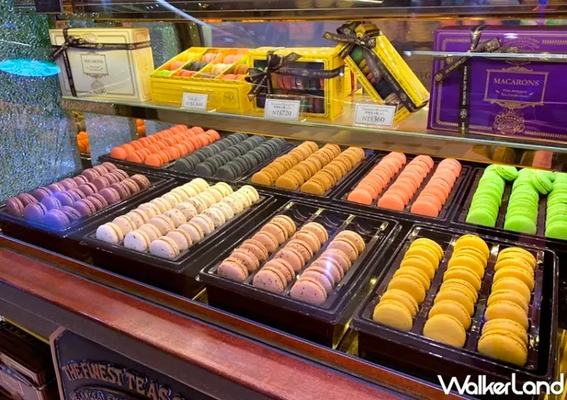 TWG Tea 世界馬卡龍日 / WalkerLand窩客島整理提供 未經許可，不得轉載