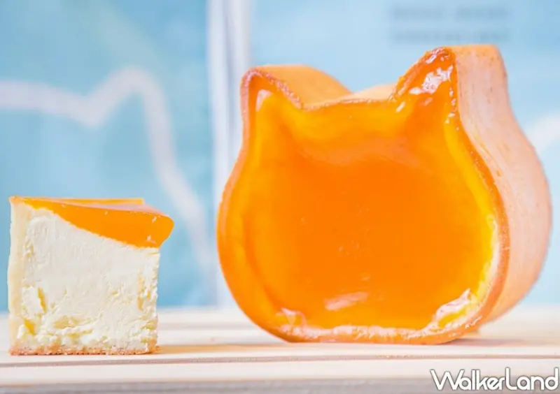 NEKO NEKO CHEESECAKE新竹快閃店 / WalkerLand窩客島整理提供 未經許可不可轉載