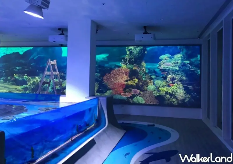 基隆海科館「潮境智能海洋館」 / WalkerLand窩客島整理提供 未經許可不可轉載