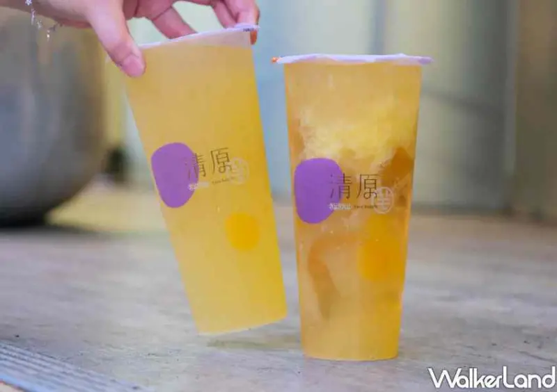 清原「橙香碧玉、多肉蜜橙橙」 / WalkerLand窩客島整理提供 未經許可不可轉載