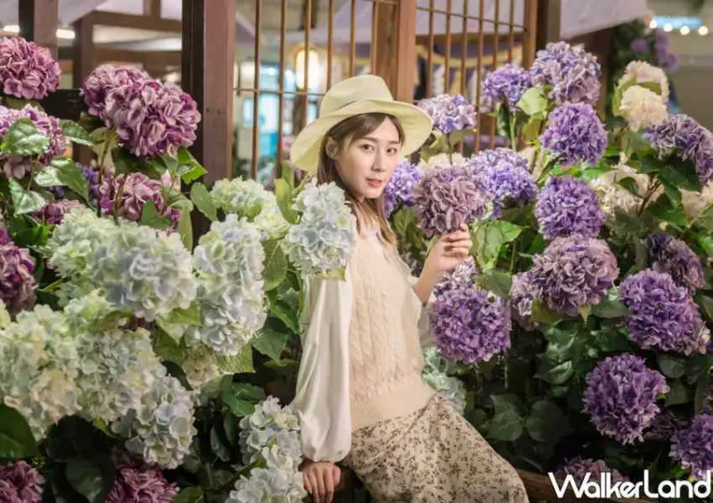 林口三井OUTLET「繡球花」 / WalkerLand窩客島整理提供 未經許可不可轉載