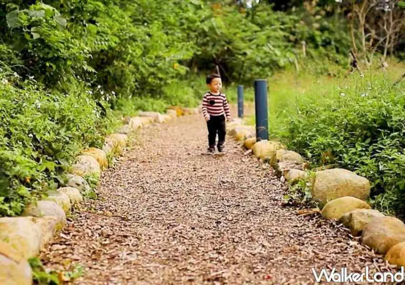 台北景點「文山森林公園」 / WalkerLand窩客島整理提供 未經許可不可轉載