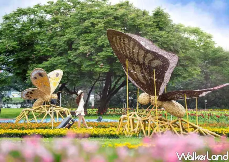 2024新北河濱蝶戀季 / WalkerLand窩客島整理提供 未經許可不可轉載。