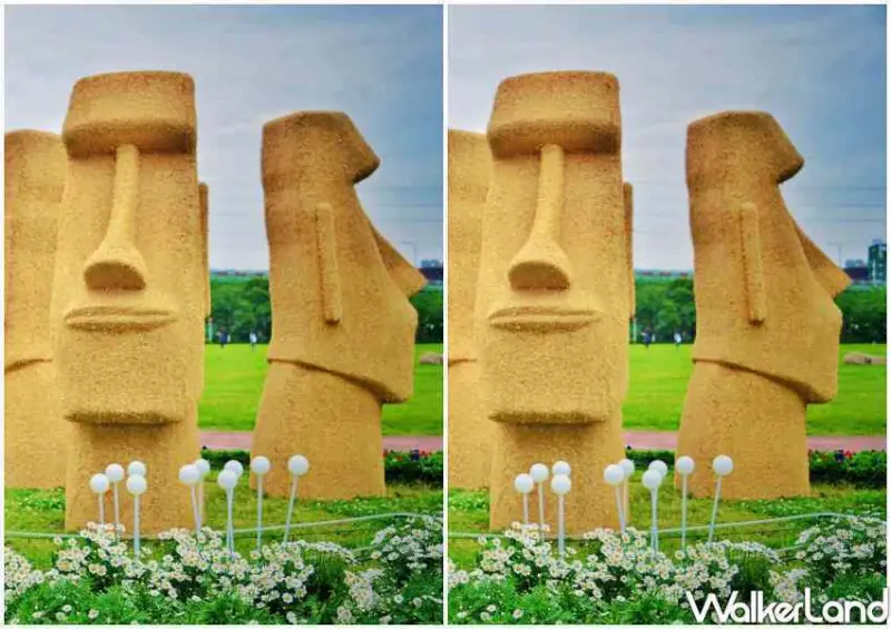 板橋景點「2022新北河濱蝶戀季」 / WalkerLand窩客島整理提供 未經許可不可轉載